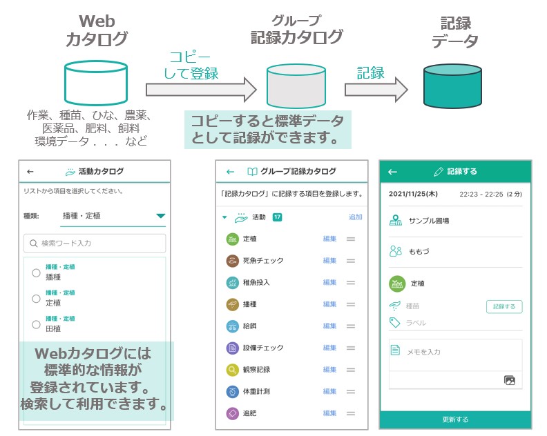 About Group